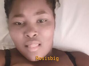 Rosisbig