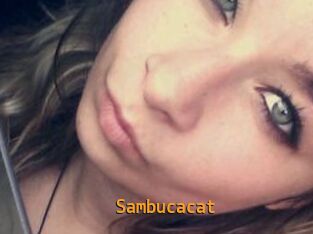 Sambucacat