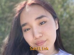 SaniLink