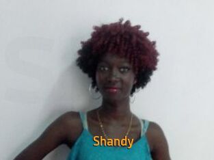 Shandy