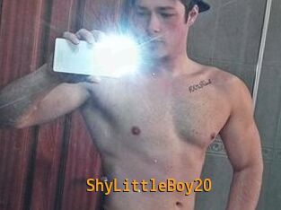 ShyLittleBoy20