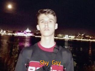 Shy_Gay