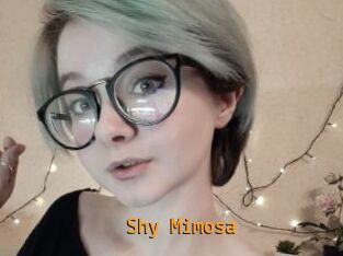 Shy_Mimosa