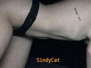 SindyCat