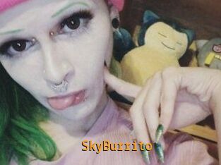 SkyBurrito