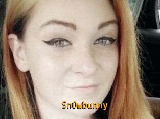 Sn0wbunny