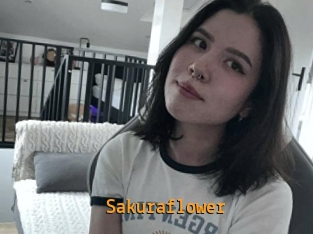 Sakuraflower