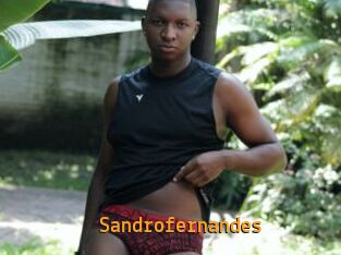 Sandrofernandes