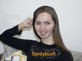 Sandybush
