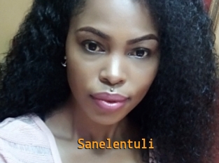 Sanelentuli