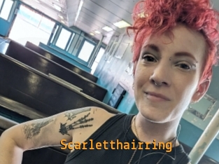 Scarletthairring