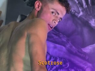 Scotrose