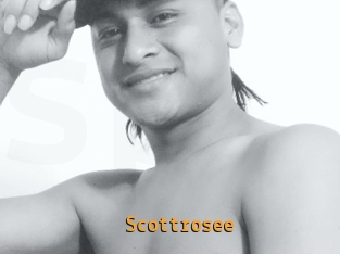 Scottrosee