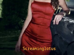 Screaminglotus