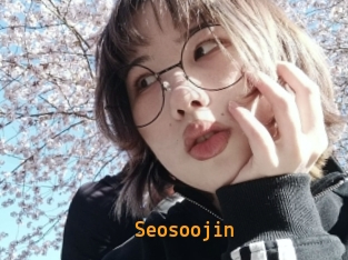 Seosoojin
