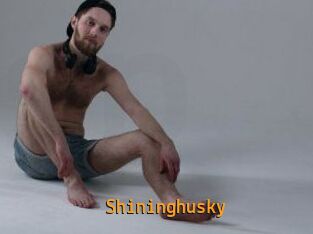 Shininghusky