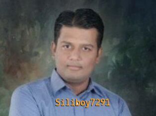 Siliboy7291