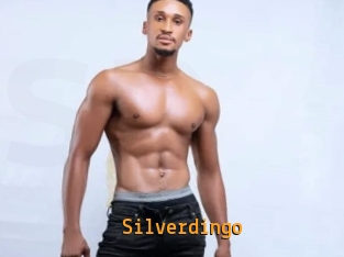 Silverdingo