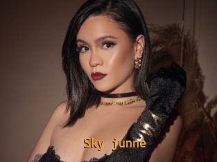 Sky_junne