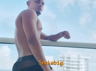 snakebig Sexcam Portal