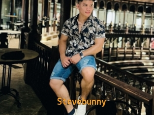 stevebunny Sexcam Portal