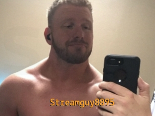 Streamguy8895