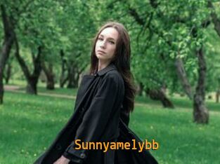 Sunnyamelybb