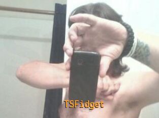 TSFidget