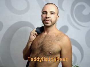 TeddyHairyBear