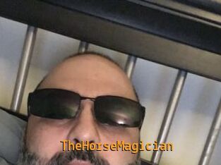TheHorseMagician