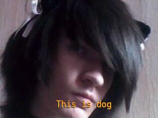 This_is_dog