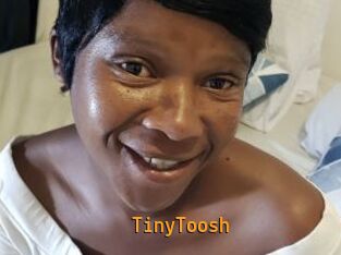 TinyToosh