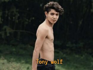 Tony_wolf