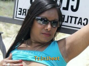 Triniheat
