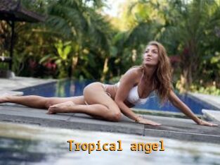 Tropical_angel