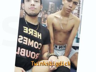 Twinksbigdick