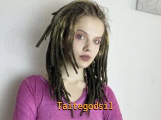 Taitegodsil