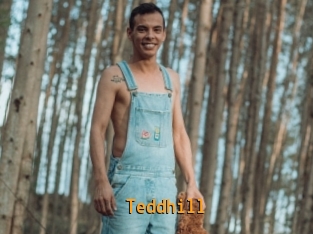 Teddhill