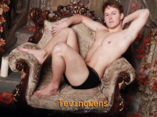 Tevinowens