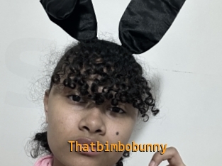 Thatbimbobunny