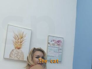 The_cat