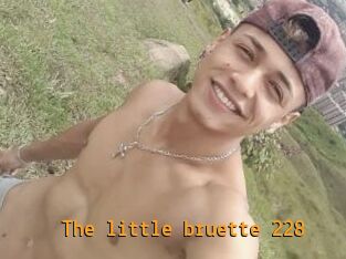 The_little_bruette_228