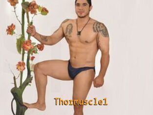 Thormuscle1
