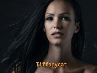 Tiffanycat