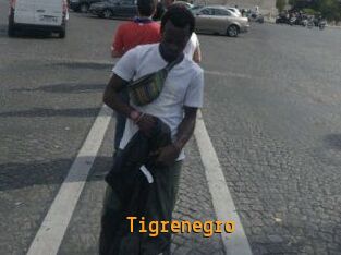 Tigrenegro
