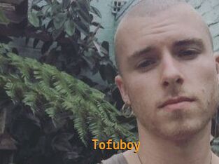 Tofu_boy