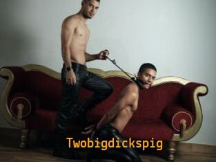 Twobigdickspig