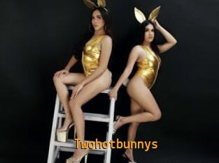 Twohotbunnys