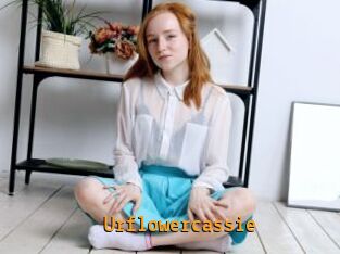 Urflowercassie