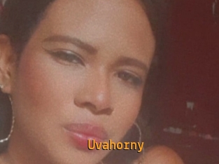Uvahorny